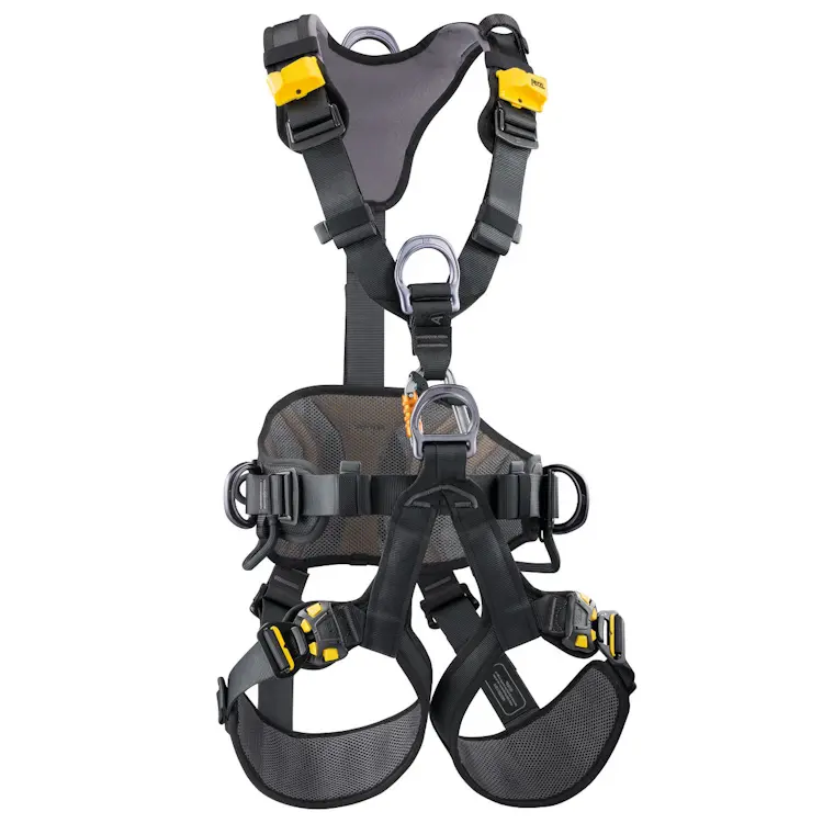 Petzl® AVAO® BOD FAST Harness International Version shown back view, highlighting the reinforced dorsal attachment point and breathable padding for secure and comfortable wear during rope access and fall protection.